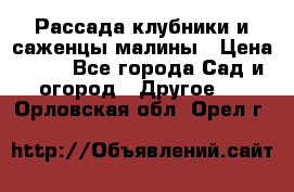 Рассада клубники и саженцы малины › Цена ­ 10 - Все города Сад и огород » Другое   . Орловская обл.,Орел г.
